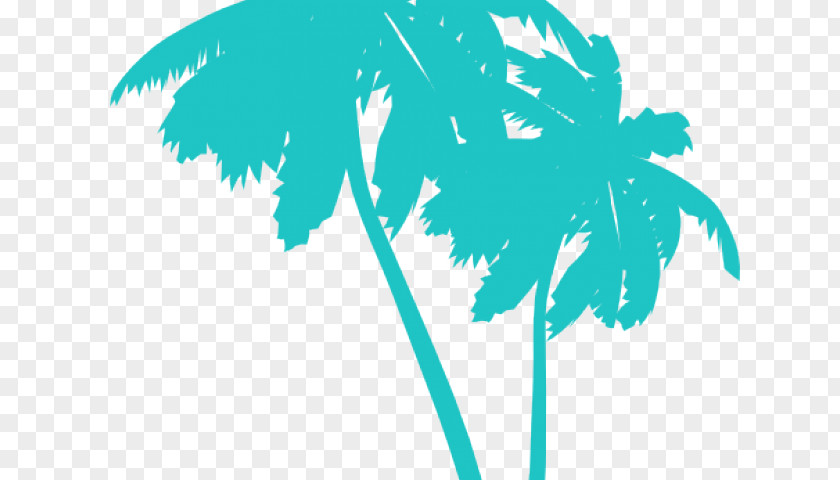 Palm Tree Border Clipart Clip Art Trees Sabal Vector Graphics PNG
