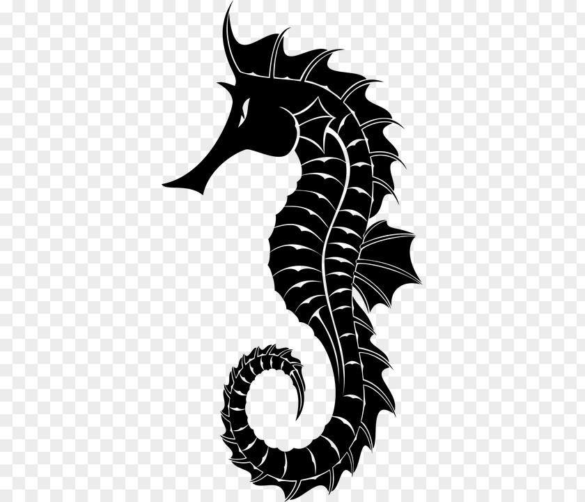Silhouette White's Seahorse Clip Art PNG