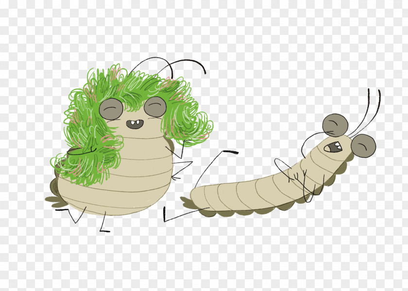 Insect Butterfly Pollinator PNG