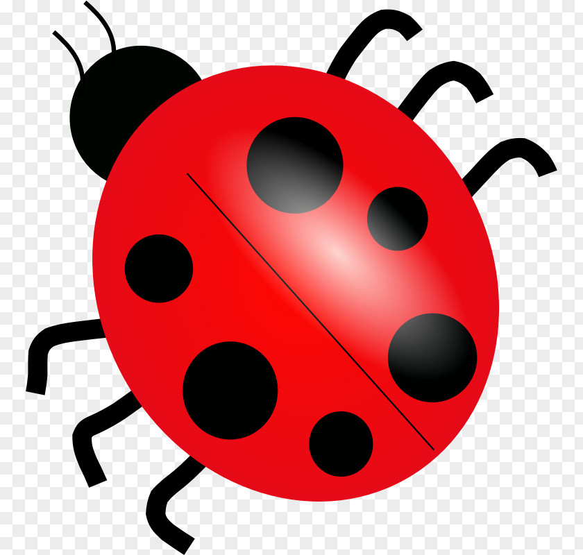 Ladybug Images Ladybird Drawing Clip Art PNG