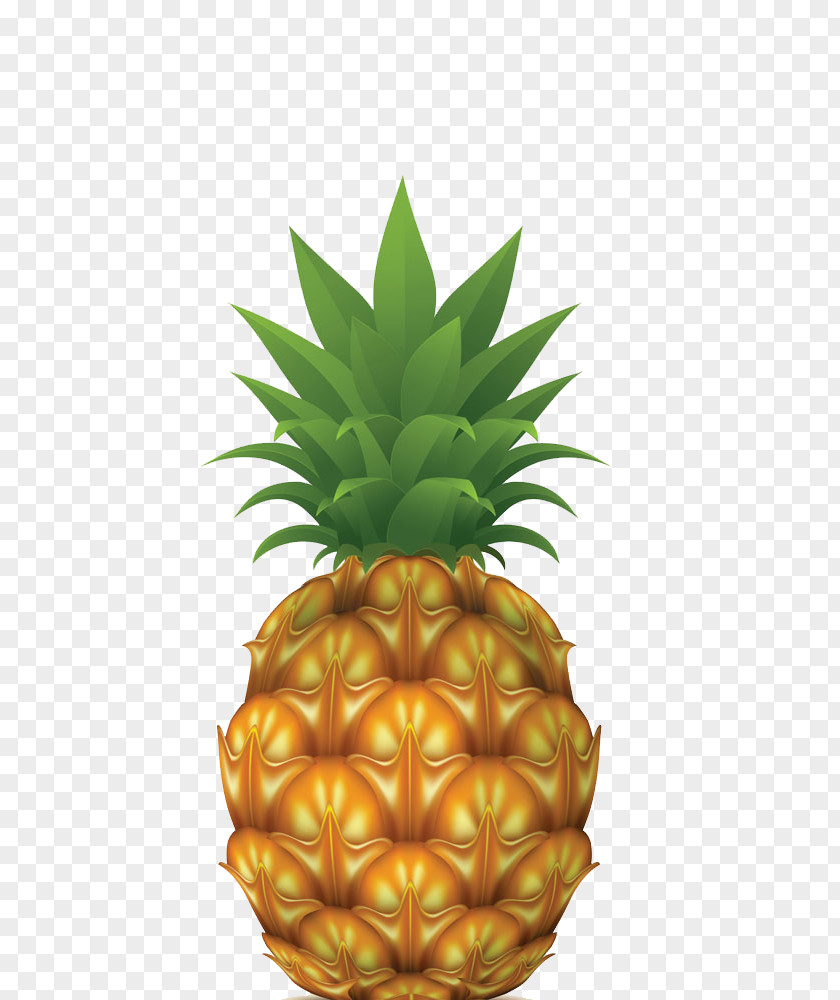 Pineapple Drawing Stock Photography Illustration PNG