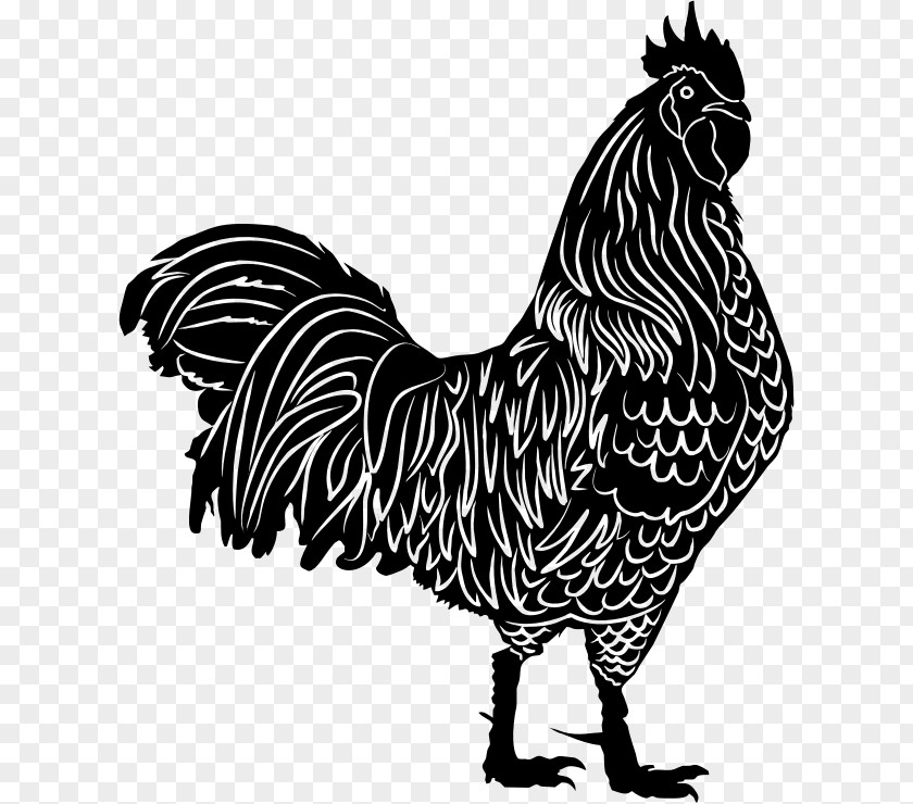 Rooster Primula Chicken Silhouette Clip Art PNG