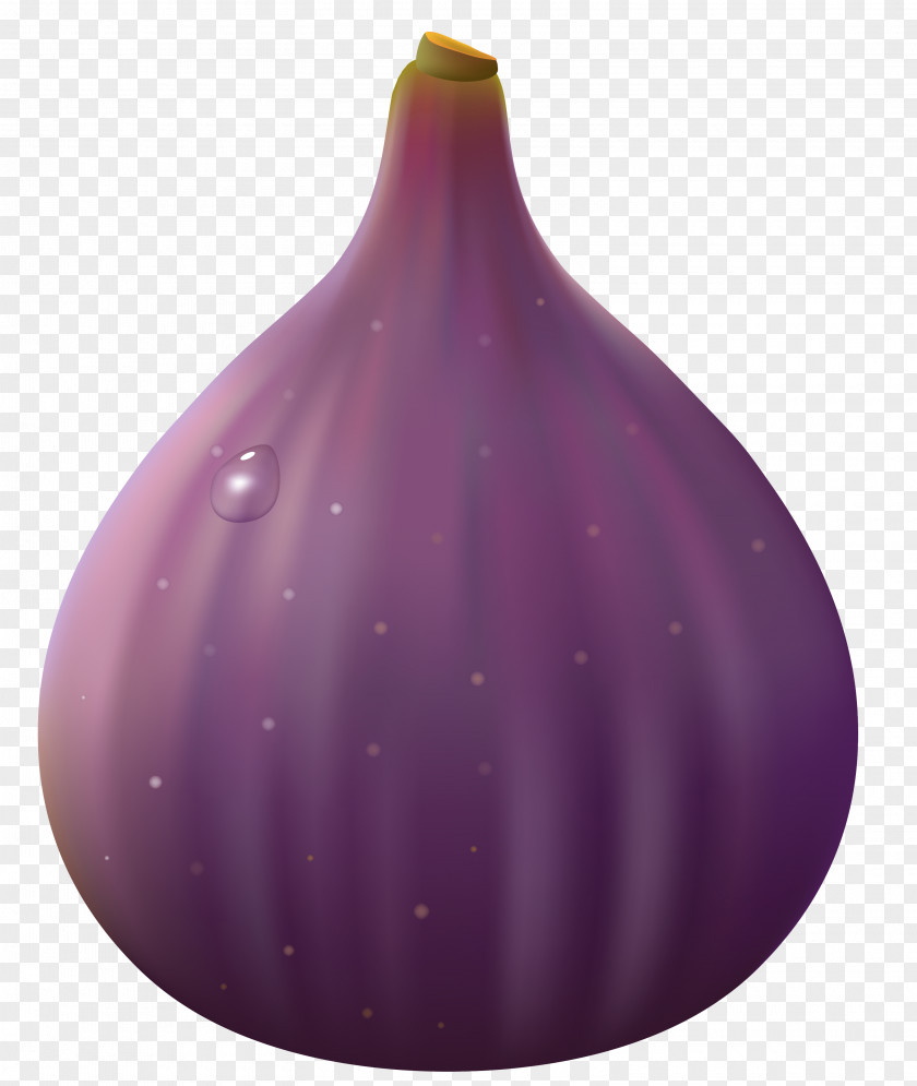 Transparent Fig Clipart Picture Purple Design Product PNG