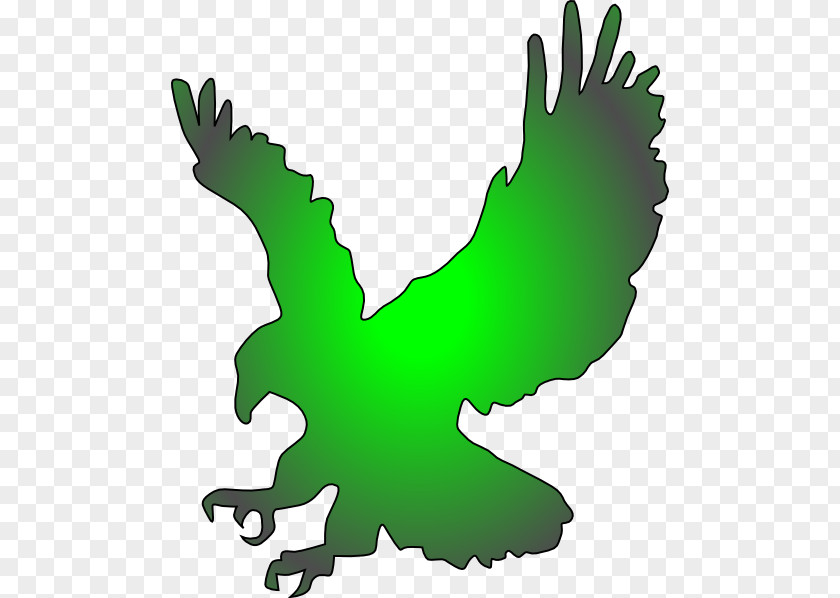 Eagle Bald Silhouette Clip Art PNG