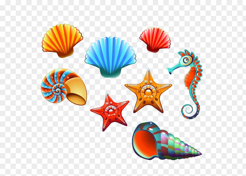 Hippocampus Vector Graphics Seashell Stock Photography Clip Art Illustration PNG