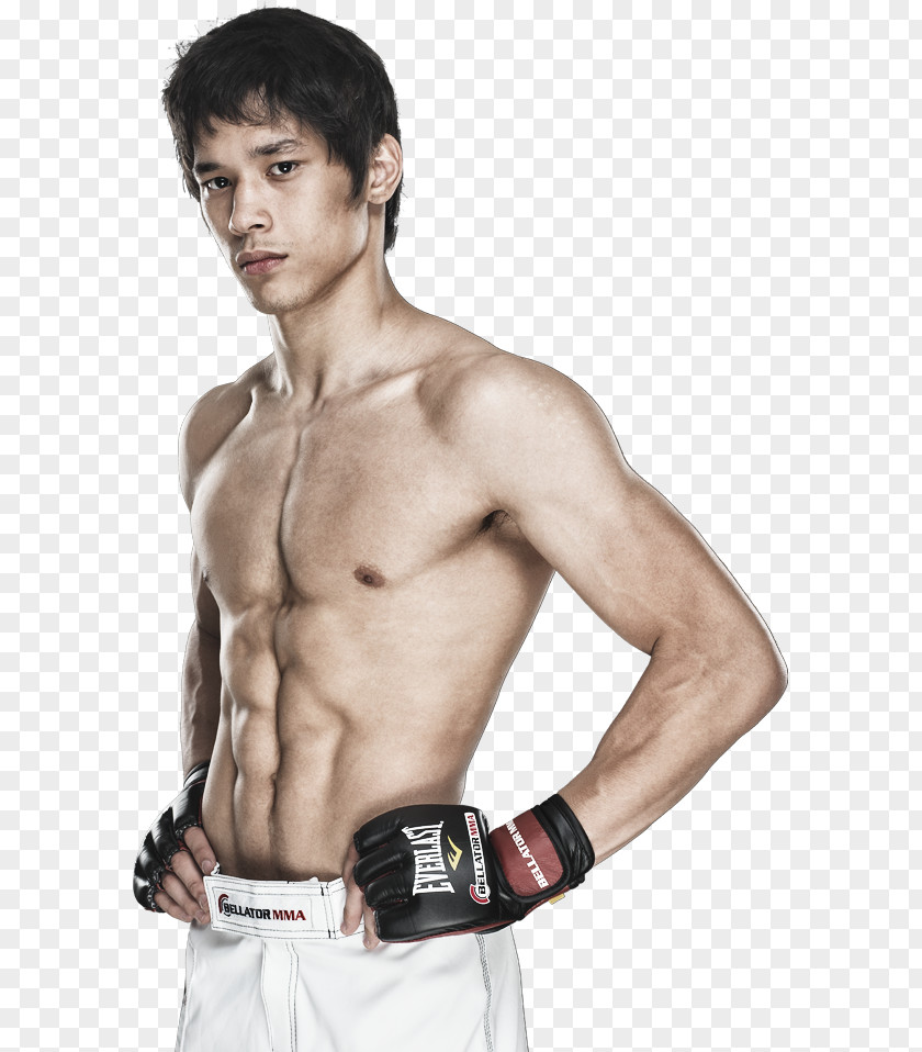 Mixed Martial Arts Goiti Yamauchi Brazil Bellator MMA Ultimate Fighting Championship PNG