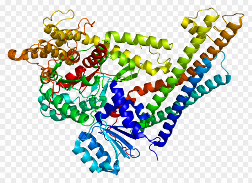 Secretory Region Neuron Cell STXBP1 Gene Expression Munc-18 PNG