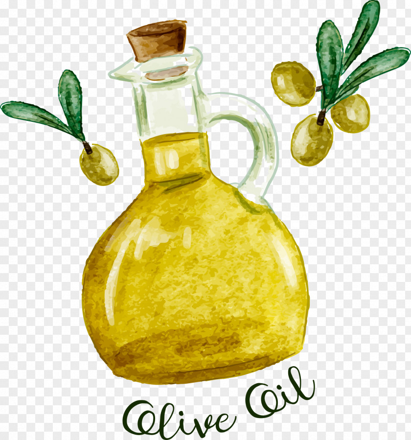 Vector Hand Painted Olive Oil Marinara Sauce PNG