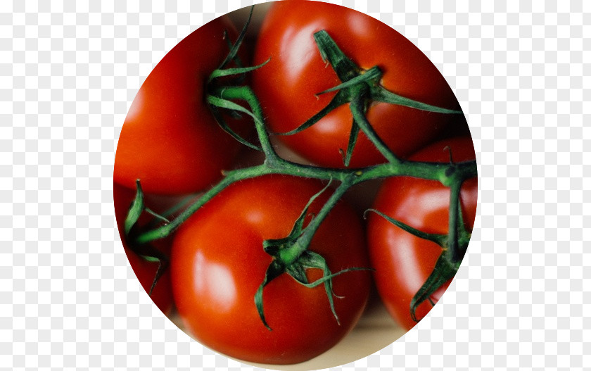 Vegetable Chutney Roma Tomato Plum Cherry PNG