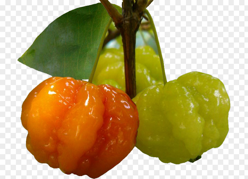 Wax Apple Vegetarian Cuisine Food Tropical Fruit PNG
