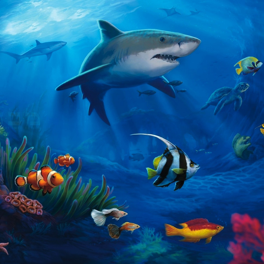 Aquarium Fish Underwater Desktop Wallpaper Sea Ocean PNG