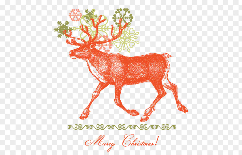 Deer IPhone 6 Plus X Reindeer Santa Claus PNG