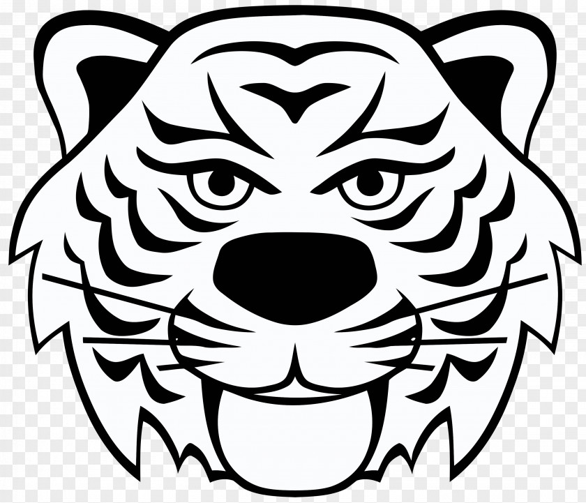 Lion Tiger Panther Whiskers Leopard PNG