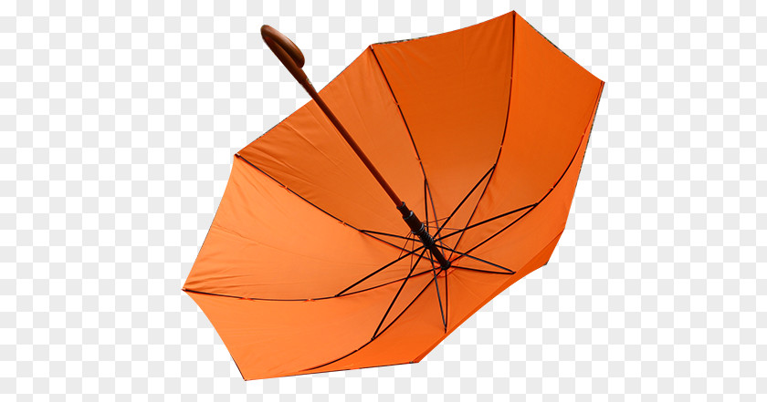 Orange Umbrella Icon PNG