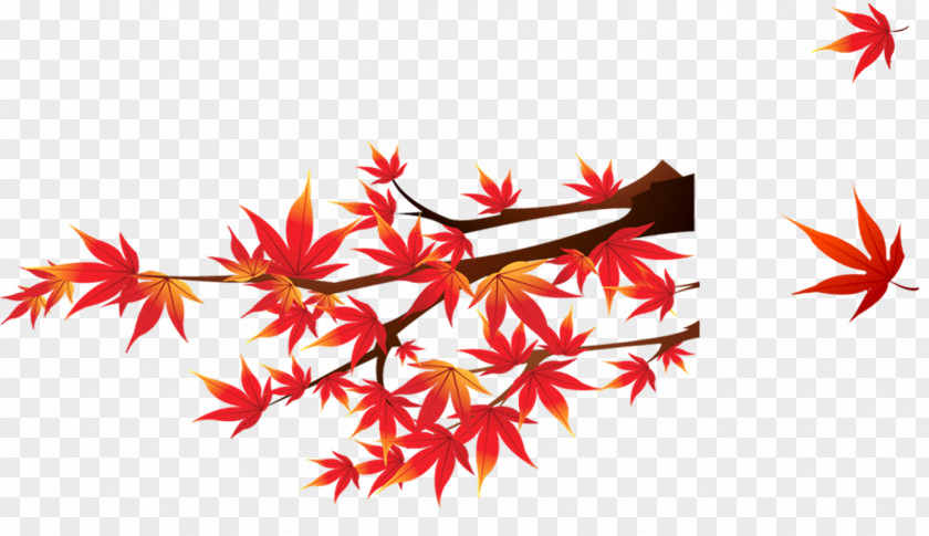 Red Maple Leaf Canada Template Microsoft PowerPoint Download Google Docs PNG