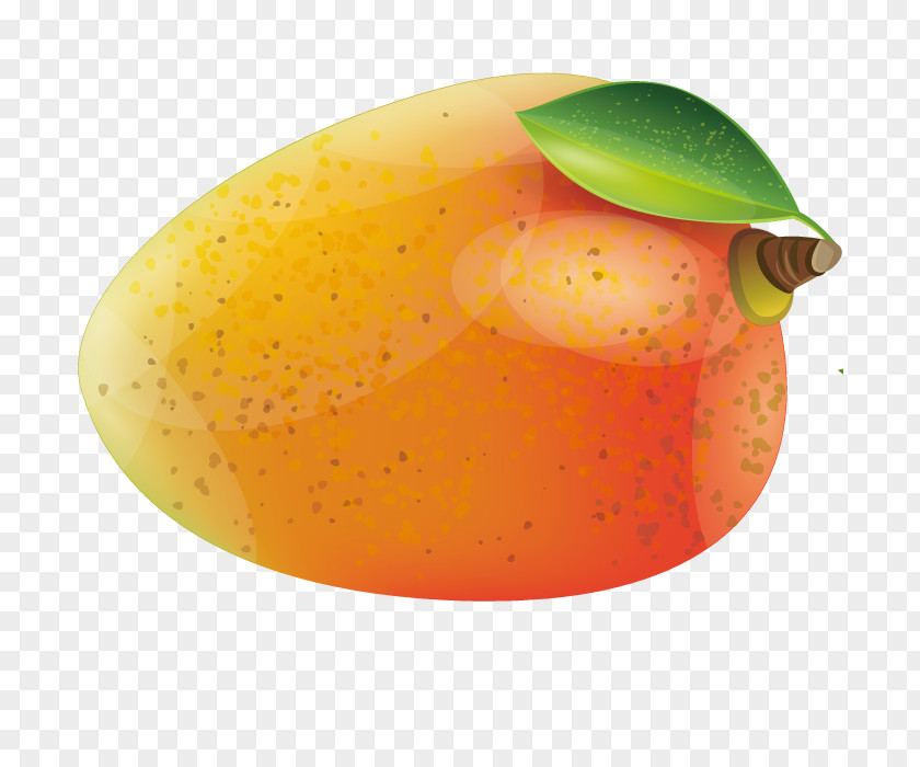 Vector Food Mango Juice Sago Soup PNG