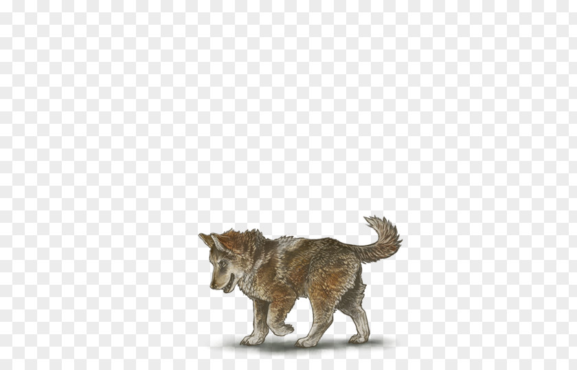 Arabian Horse Cat Dog Fur Canidae Tail PNG