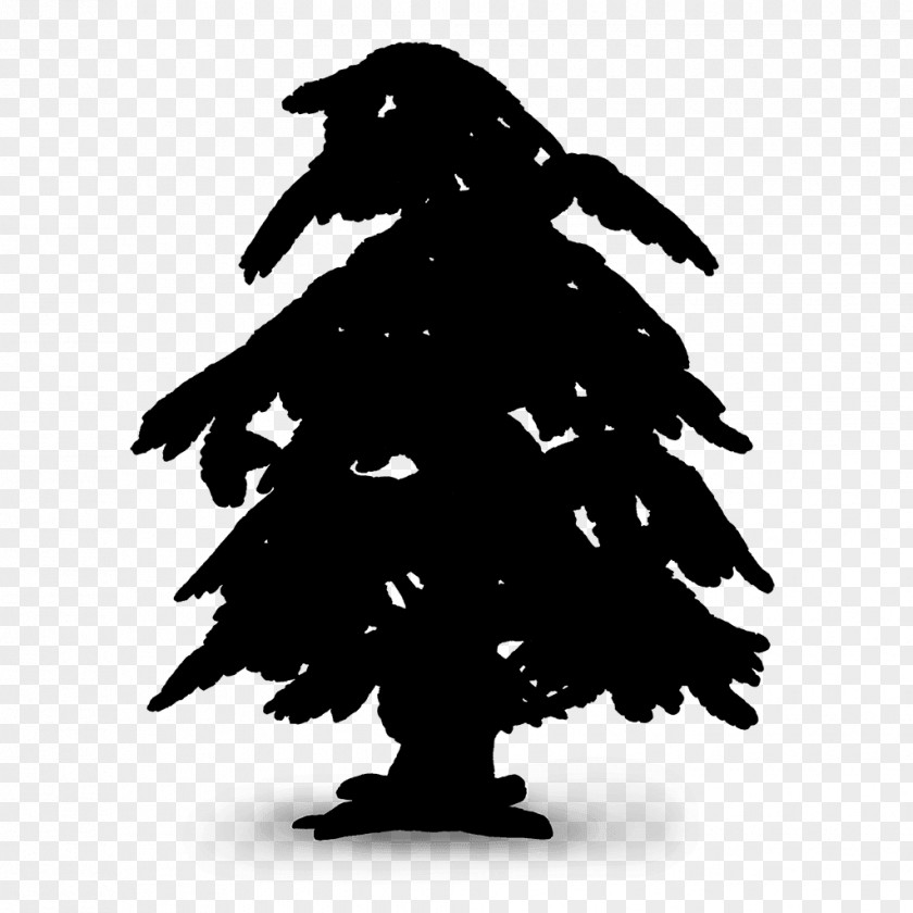 Beak Pine Family Silhouette PNG