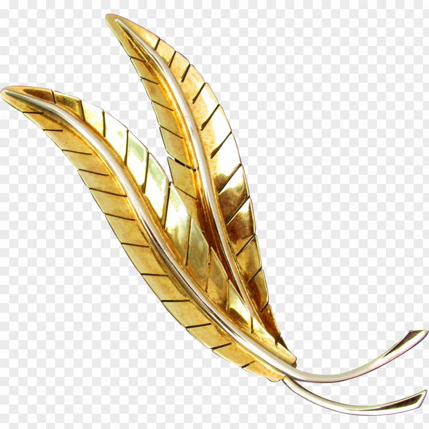 Gold Alessandria Brooch Alexandria Jewellery PNG