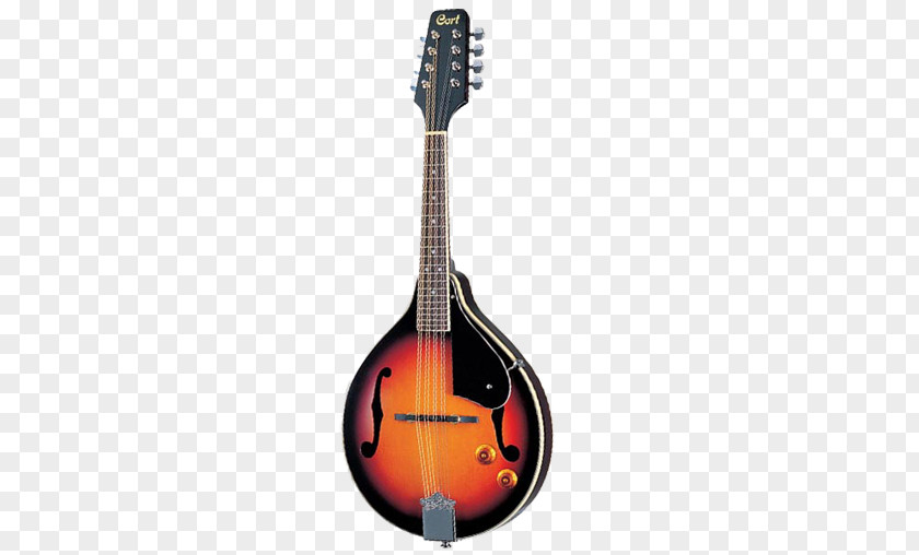 Musical Instruments Mandolin Eight-string Guitar String PNG