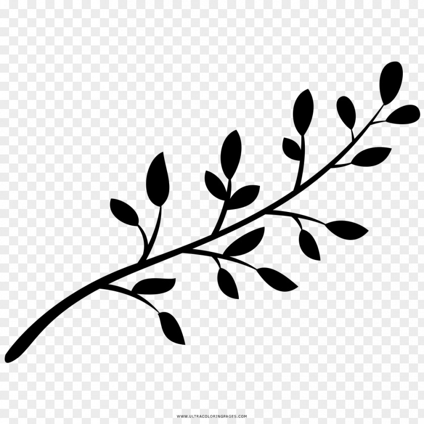 Tree Twig Branch Drawing PNG