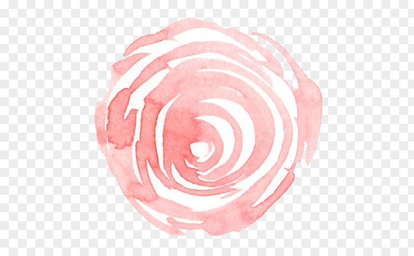 Beat Watercolor Rose Family Pink M Fahrenheit PNG