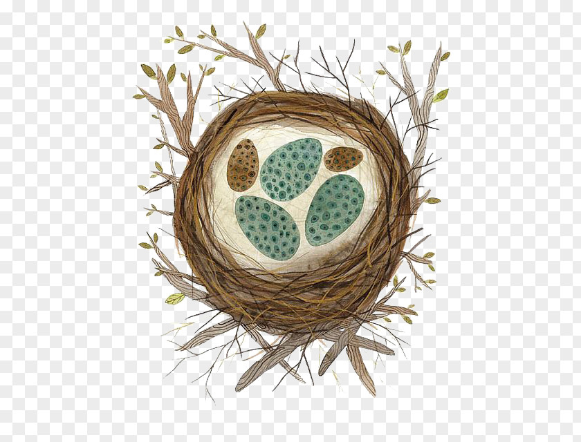 Nest Of Eggs Cartoon Bird Illustration PNG
