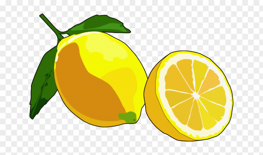 Orange PNG