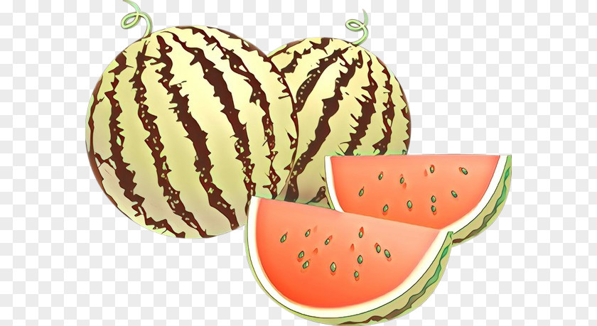 Plant Citrullus Watermelon Cartoon PNG