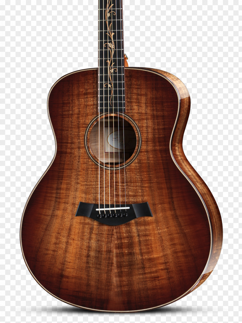 Acoustic Poster Taylor Guitars Ukulele Musical Instruments String PNG