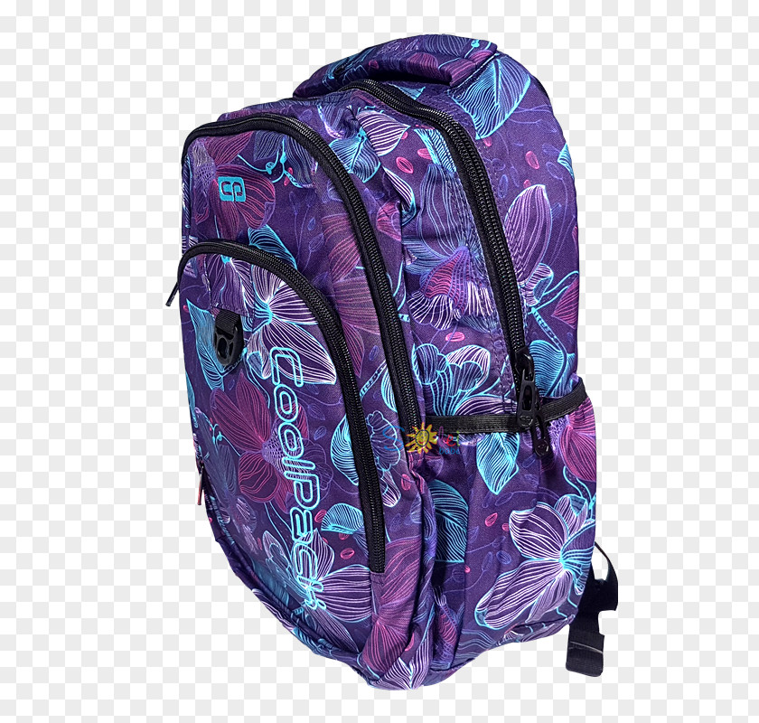 Backpack Hand Luggage Baggage PNG
