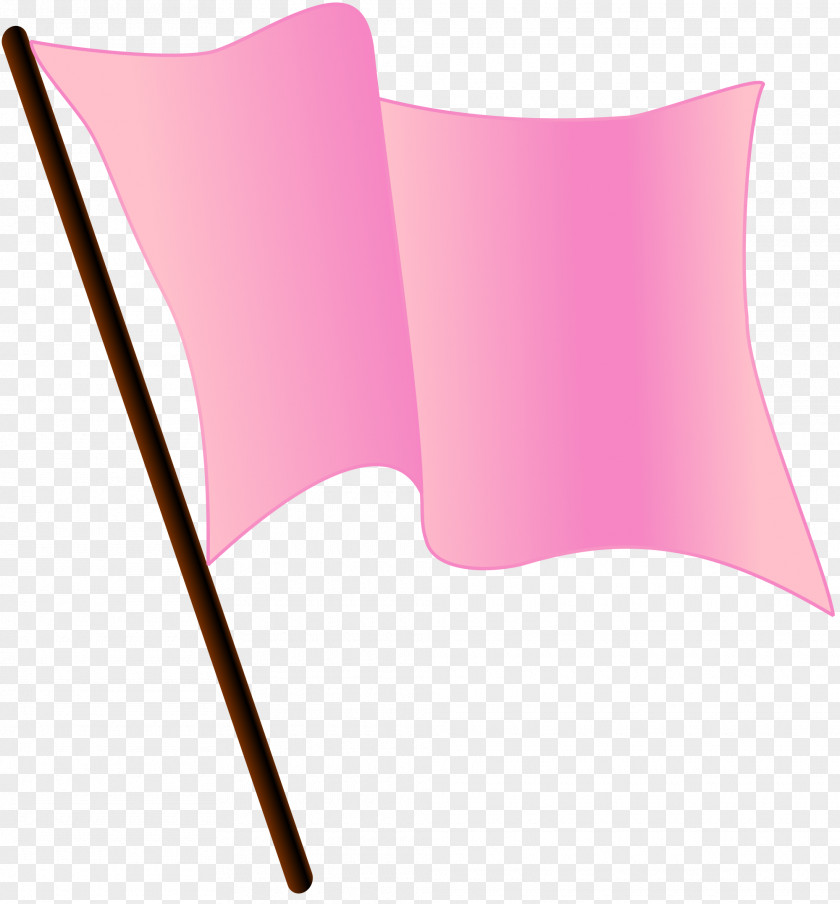 Bunting Pink Flag Wire PNG