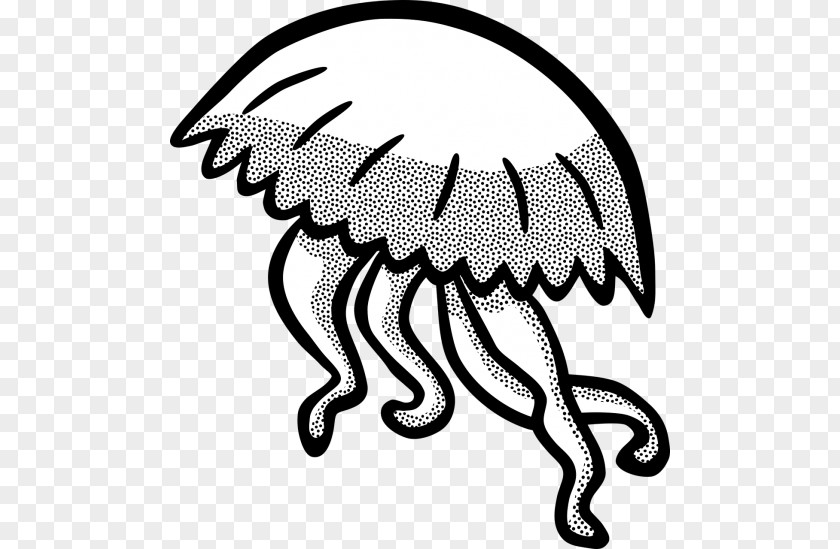 Medusa Kid Icarus Clip Art Jellyfish Vector Graphics Image PNG