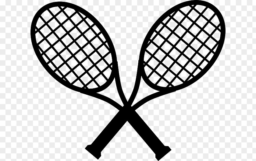 Stafford Clip Art Openclipart Racket Free Content PNG