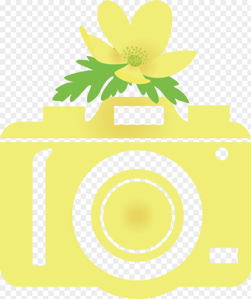 Camera Flower PNG