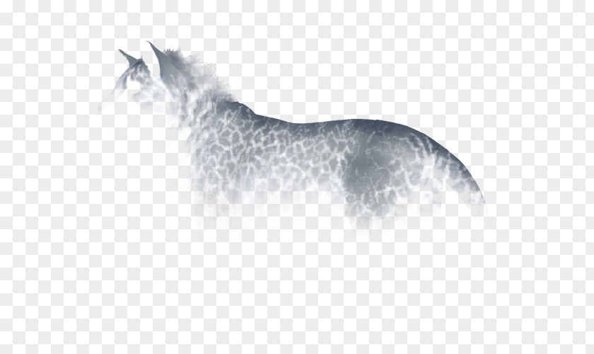 Crackle Horse Cat Mammal Dog Whiskers PNG