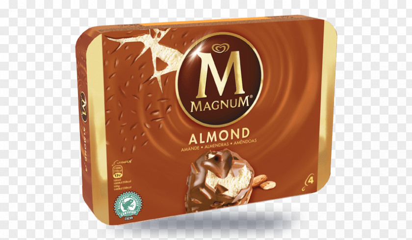 Ice Cream Chocolate Milk Magnum PNG