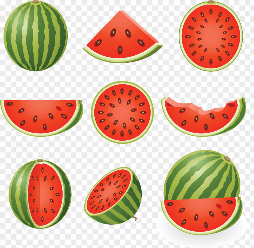 Watermelon Drawing Clip Art PNG