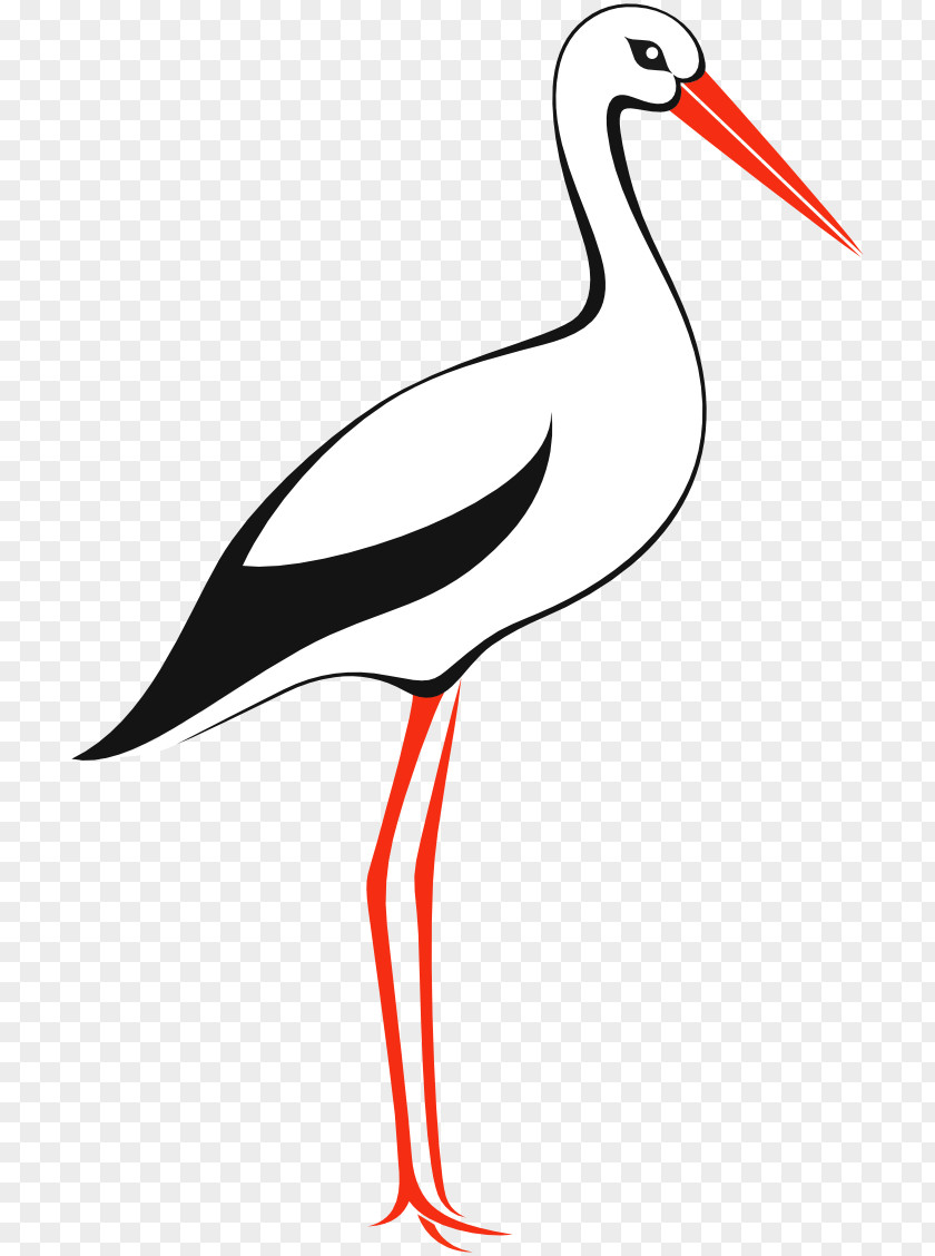 Bird White Stork IStock Clip Art PNG