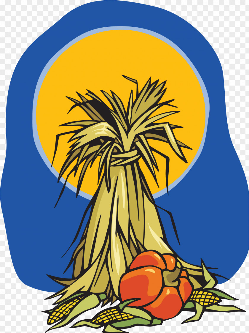 Festival Maize Drawing Clip Art PNG