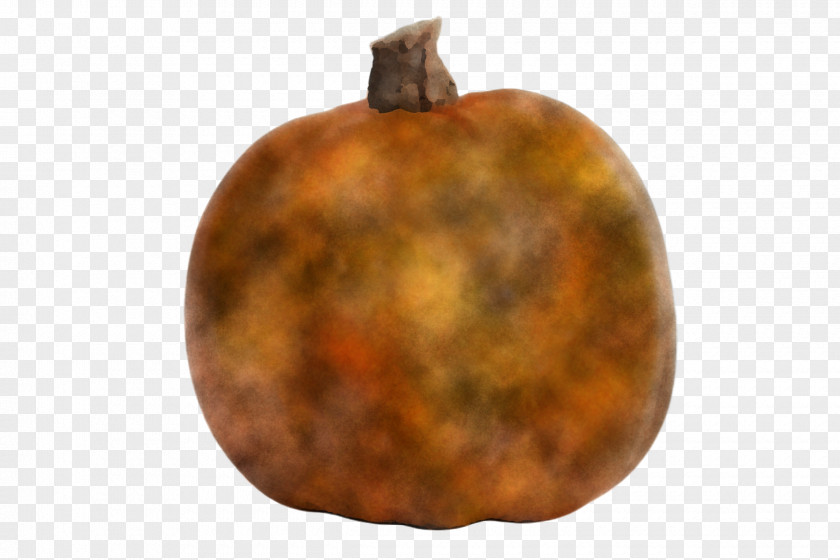 Food Tree Orange PNG