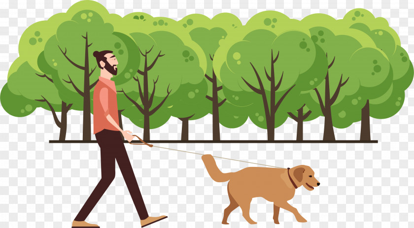 Walk Dogs In The Park Dog Walking PNG