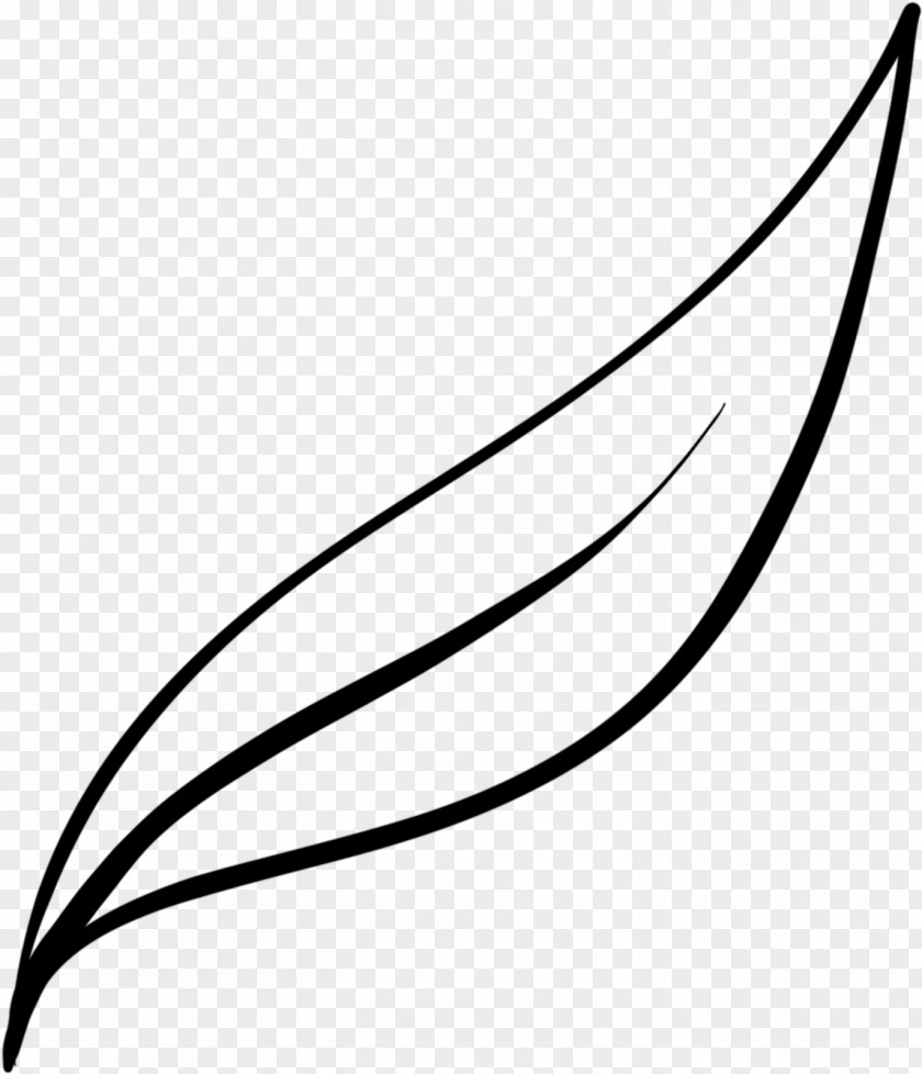 Wing Plant Line Background PNG