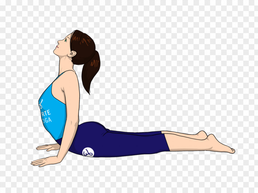 Yoga Bhujangasana Bikram Exercise Abdomen PNG