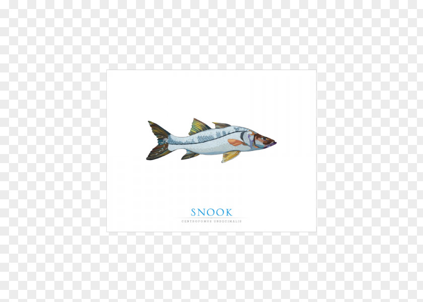 Fish Card Fighter Aircraft Airplane Aviation Air Force Jet PNG