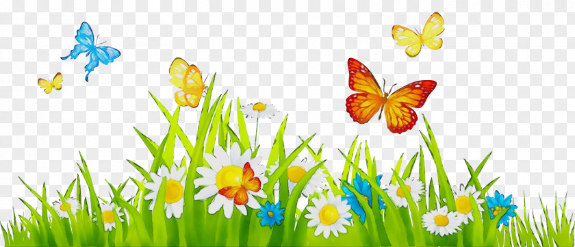 Insect Moths And Butterflies Watercolor Flower Background PNG