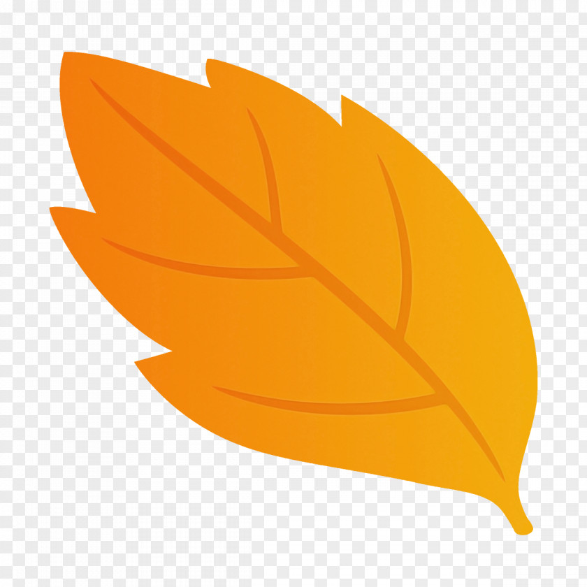 Logo Tree Orange PNG
