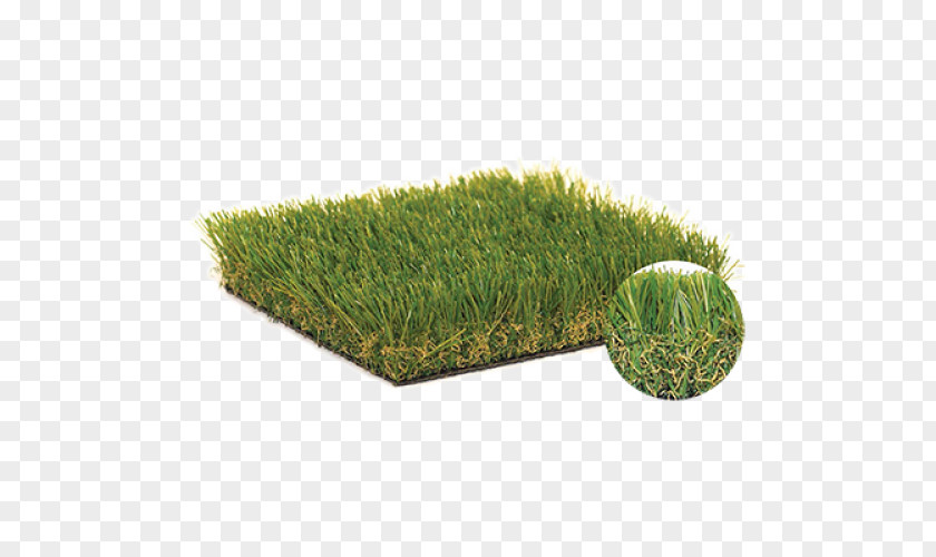 Turf Artificial Sierra Pacific Industries Square Foot Lawn Fiber PNG