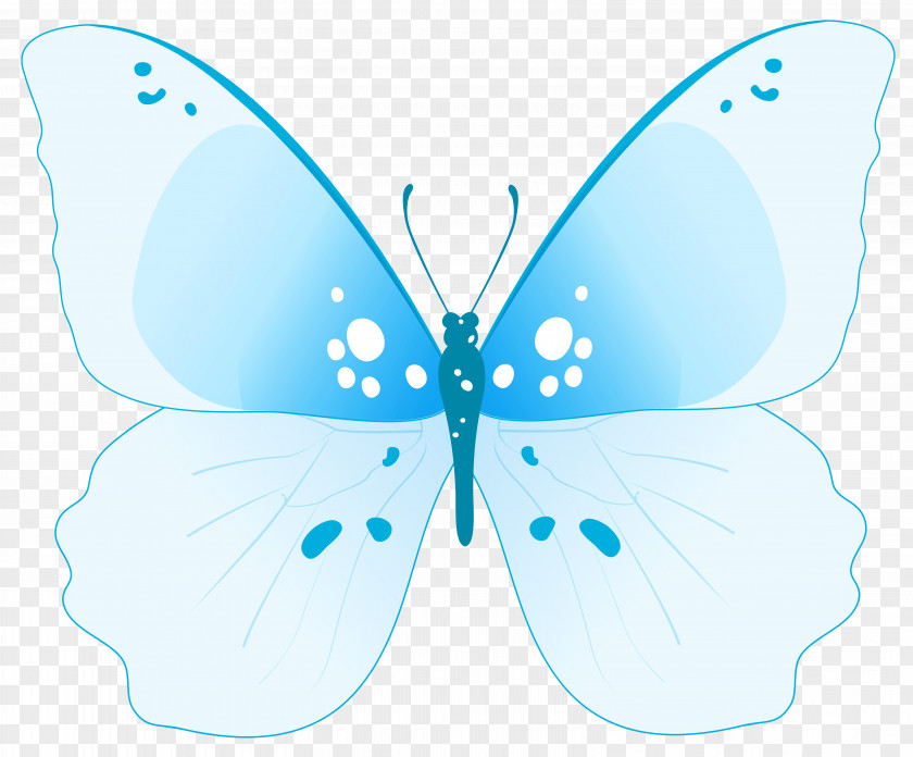 Blue Butterfly Insect Clip Art PNG