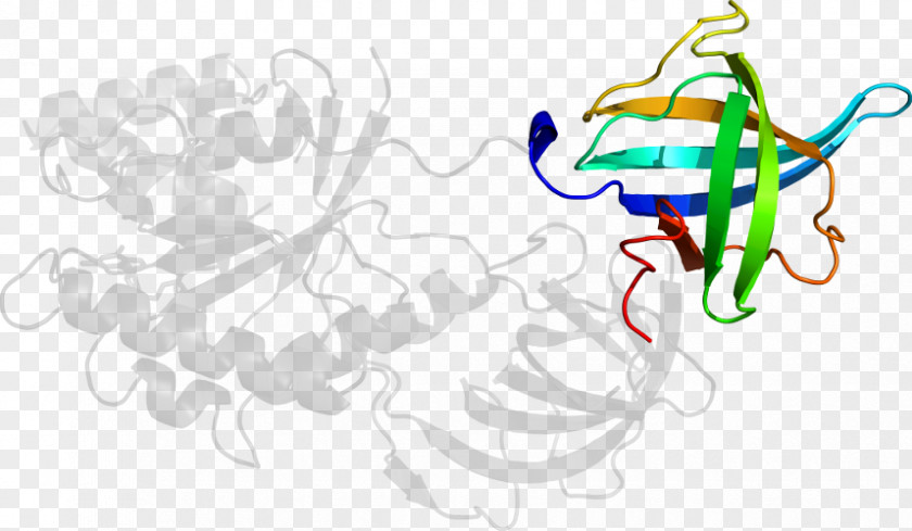 Design Graphic Clip Art PNG